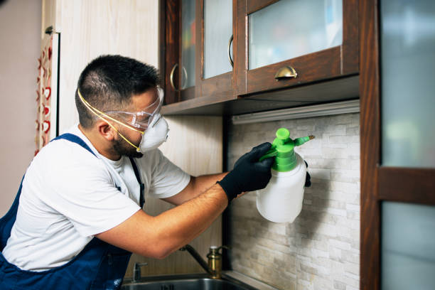 Best Pest Control Treatment  in New Providence, NJ