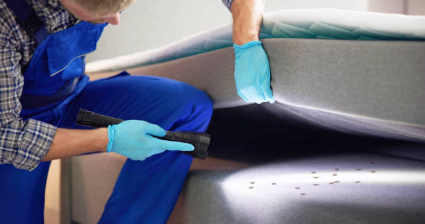 Best Pest Control Cost  in New Providence, NJ
