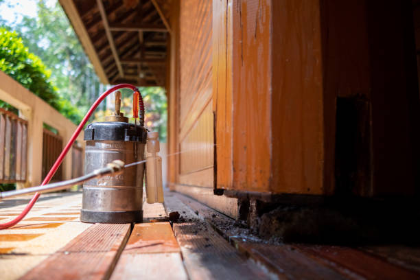 Best Mosquito Control Services  in New Providence, NJ