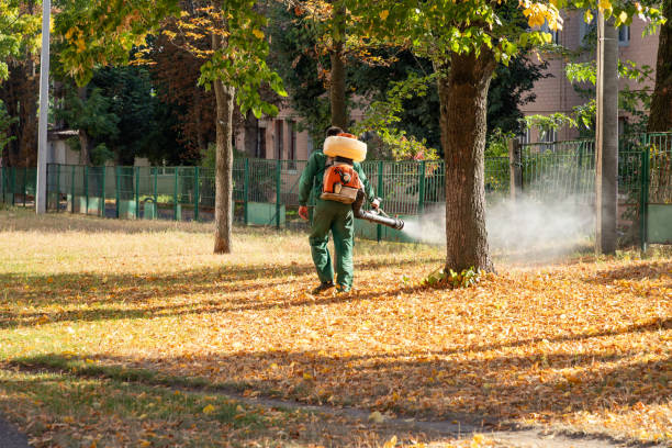Trusted New Providence, NJ Pest Control Experts