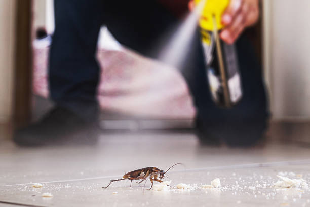 Best Pest Prevention Services  in New Providence, NJ