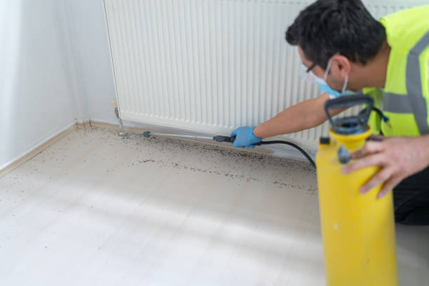 Best Pest Control Near Me  in New Providence, NJ